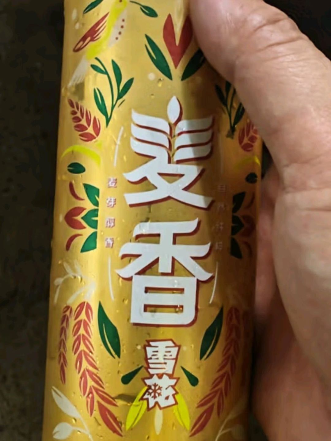 雪花麦香 勇闯天涯