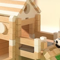 儿童榫卯积木大挑战：110片积木拼出你的梦想之家！