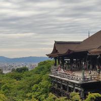 篇一：2024年5月大阪、京都、奈良，7天日本逛吃之旅（准备篇）