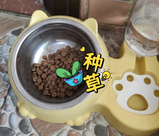 猫咪的专属美味猫粮