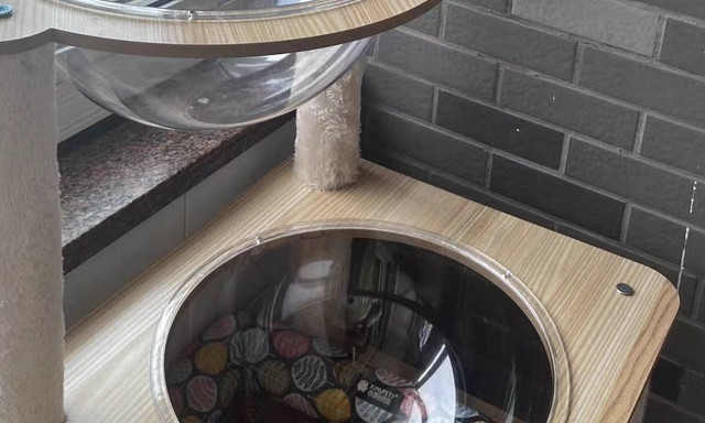 猫爬架猫窝猫树一体实木太空舱通天柱猫架子剑麻玩具猫咪用品大全