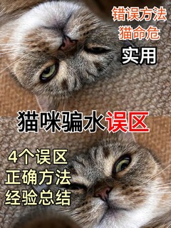 猫咪尿闭了，还不爱喝水？！