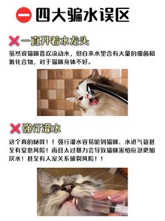 猫咪尿闭了，还不爱喝水？！