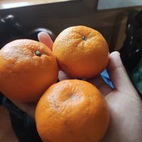 薄皮大橘子
