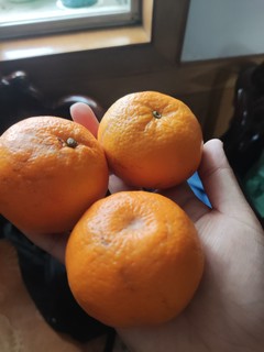 薄皮大橘子