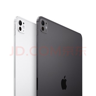 Apple/苹果 iPad Pro 11英寸 M4芯片 2024年新款平板电脑(256G WLAN版/MVV83CH/A)