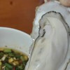 贝司令乳山生蚝鲜活10斤大号生态牡蛎活鲜海蛎子带箱新鲜海鲜水产