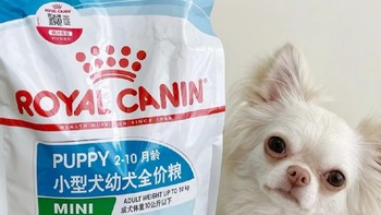 皇家狗粮 幼犬狗粮 小型犬 MIJ31 通用粮 2-10月 2KG