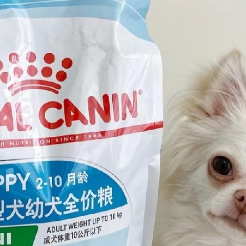 皇家狗粮 幼犬狗粮 小型犬 MIJ31 通用粮 2-10月 2KG