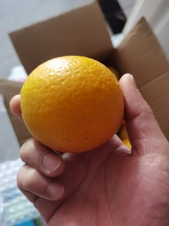 这次的鲜橙买亏了