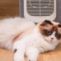 养猫家庭的守护神器--舒乐氏宠物空气净化器