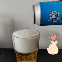 道酿—腾云比利时小麦witbier啤酒