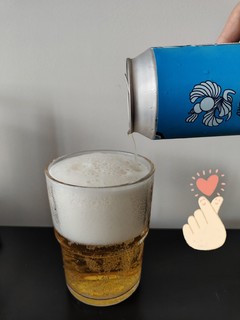 道酿—腾云比利时小麦witbier啤酒