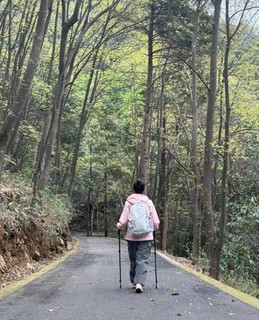 迪卡侬MH500 登山鞋