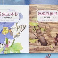 万物有灵且美 | 昆虫立体书，让人一眼就爱上的昆虫启蒙科普读物