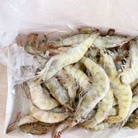 60块买3斤厄瓜多尔超大号白虾，便宜有好吃