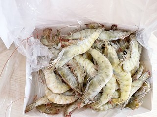 60块买3斤厄瓜多尔超大号白虾，便宜有好吃