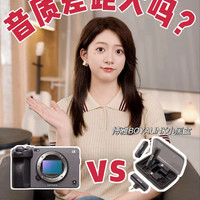 相机麦克风 VS 百元麦克风：音质差距大吗？