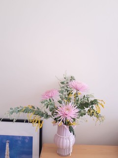 每周一花：烟花菊，菊很美。