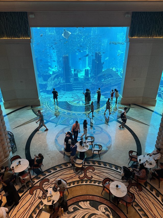 迪拜亚特兰蒂斯水族馆也太治愈了