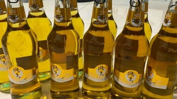 珠江啤酒（PEARL RIVER）10度 珠江精品纯生啤酒 528ml*12瓶 整箱装评测