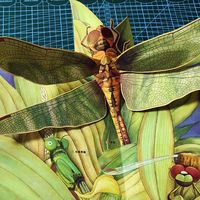 探索昆虫王国：《昆虫立体书》带你走进奇妙的自然世界
