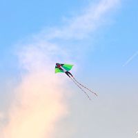 力量训练！Kites rise highest against the wind, not with it. 风筝顺风并不能高飞，逆风才能。