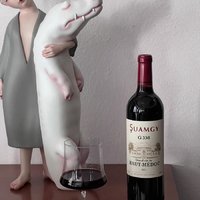 这款红酒以其独特的口感和卓越的品质，成为了法国葡萄酒中的佼佼者