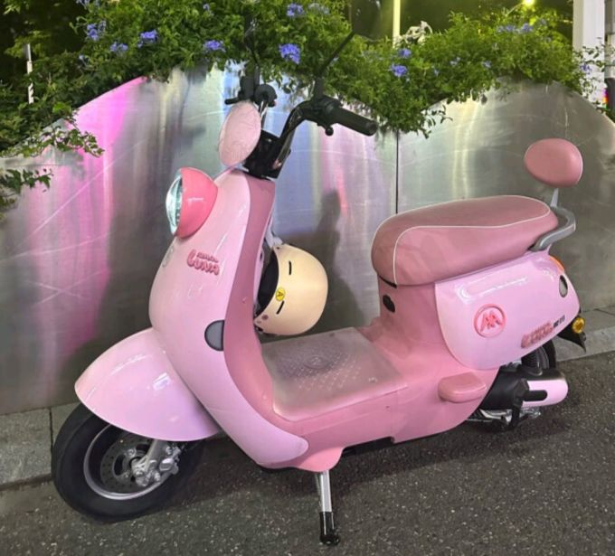 爱玛aima露娜新国标长续航成人男女代步电动摩托车踏板外卖车