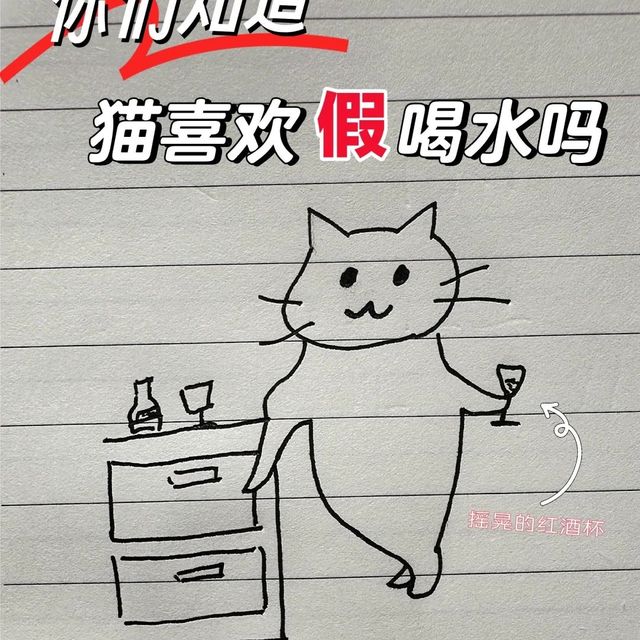 猫喝水用手扒拉❓小心🉐猫咪尿闭前兆