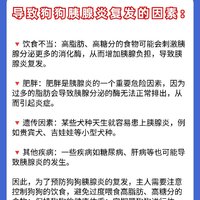 兽医8年|对狗狗胰腺的忠告 