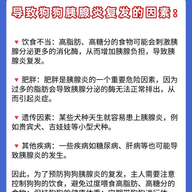 兽医8年|对狗狗胰腺的忠告 