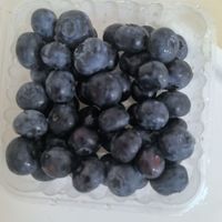 便宜好吃的蓝莓