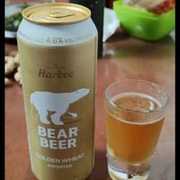 豪铂熊（BearBeer）金小麦白啤酒500ml*24听整箱装 德国进口（日期格式：日-月-年）