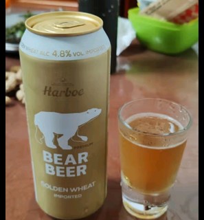 豪铂熊（BearBeer）金小麦白啤酒500ml*24听整箱装 德国进口（日期格式：日-月-年）