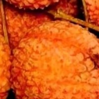 《荔枝盛宴：桂味与糯米糍的品鉴之旅》