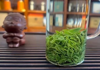 恩施玉露2024新茶绿茶，冷泡新选择