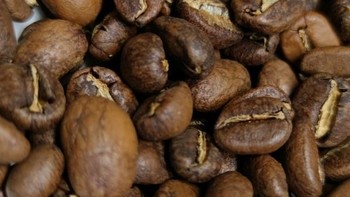 久留米豆的华丽变身，伊雪韵咖啡的迷人魅力