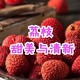 一骑红尘妃子笑，无人知是荔枝来