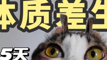 45DAY改善猫咪体质差生‼