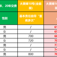 大黄蜂10号旗舰版、全能版、小青龙3号，哪款赔更多？附方案搭配