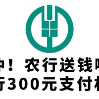 冲！农行6月送钱啦，农行300元支付权益！