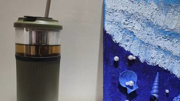 德国西兰普便携式烧水杯壶小型旅行电加热水杯保温自动炖煮养生杯