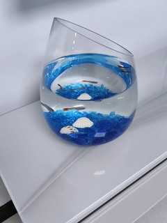 高颜值的玻璃鱼缸，美观又实用