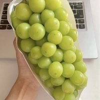 阳光玫瑰🍇