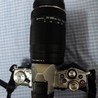 奥林巴斯 75–300 mm 镜头晒单