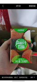 天喔茶庄 荔枝汁 夏季果汁0脂肪果味饮料小包便携饮品250ml*16盒整箱装