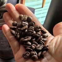 ILLY意利：阿拉比卡中烘咖啡豆，尽享意式风情