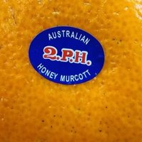 澳洲2PH桔"：当季新鲜上市，甜嫩多汁！