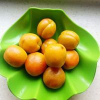 杏是酸性还是碱性？